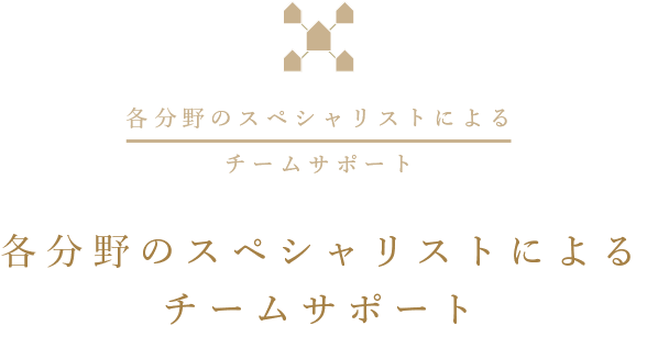 各分野のスペシャリストによるチームサポート