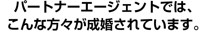 データで見るパートナーエージェント