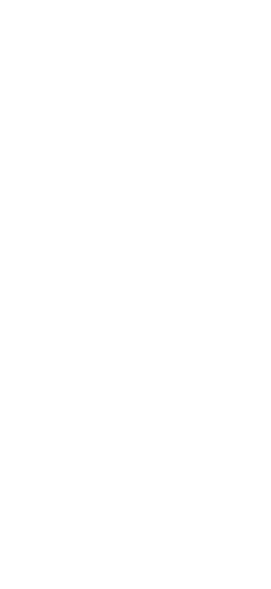 Voice