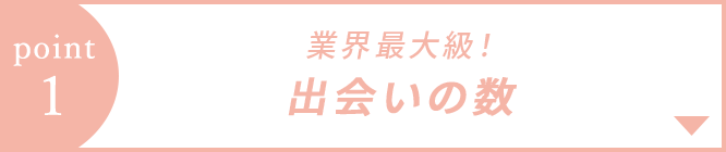 特徴1 業界最大級！出会いの数