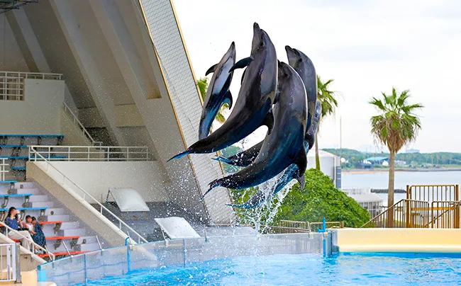 海の中道マリンワールド（水族館）