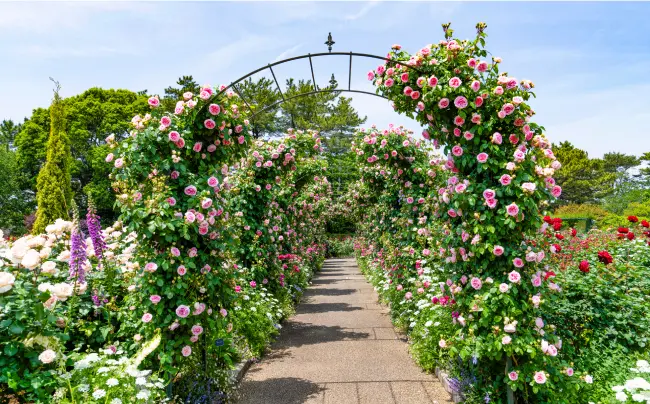 日本平夢テラス