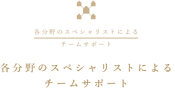 各分野のスペシャリストによるチームサポート