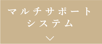 マルチサポートシステム