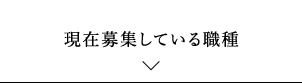 現在募集している職種