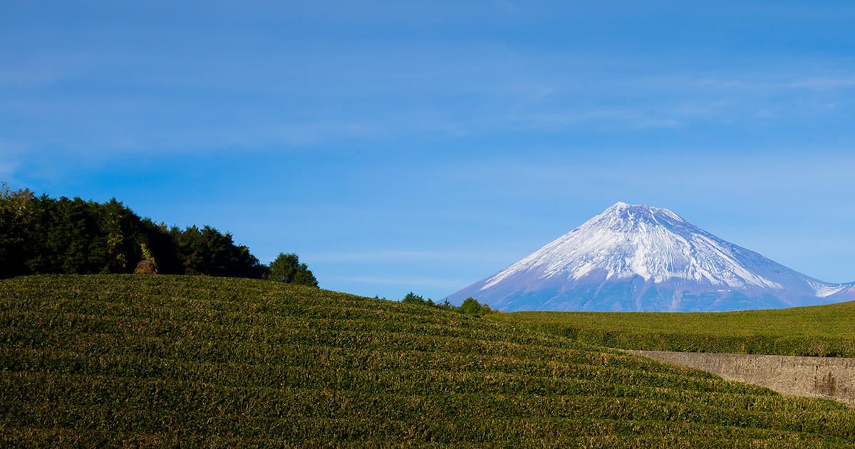 ３つのエリアで価値観が異なる静岡女子 結婚相談所パートナーエージェント 成婚率no 1