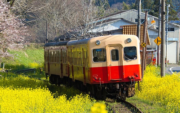 ふるさと納税、半数は縁のある所へ！