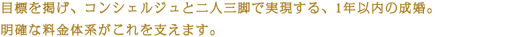 目標を掲げ、コンシェルジュと二人三脚で実現する、1年以内の成婚。明確な料金体系がこれを支えます。