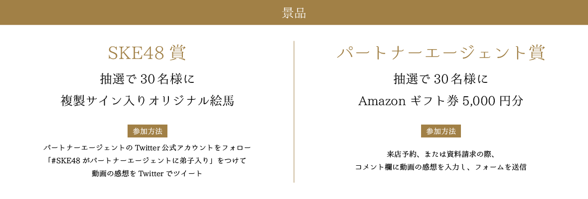 景品 SKE48賞 パートナーエージェント賞