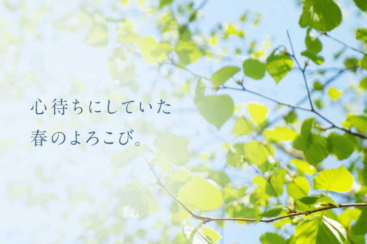 札幌市の結婚相談所ならパートナーエージェント札幌店 北海道