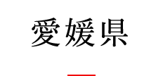 愛媛県