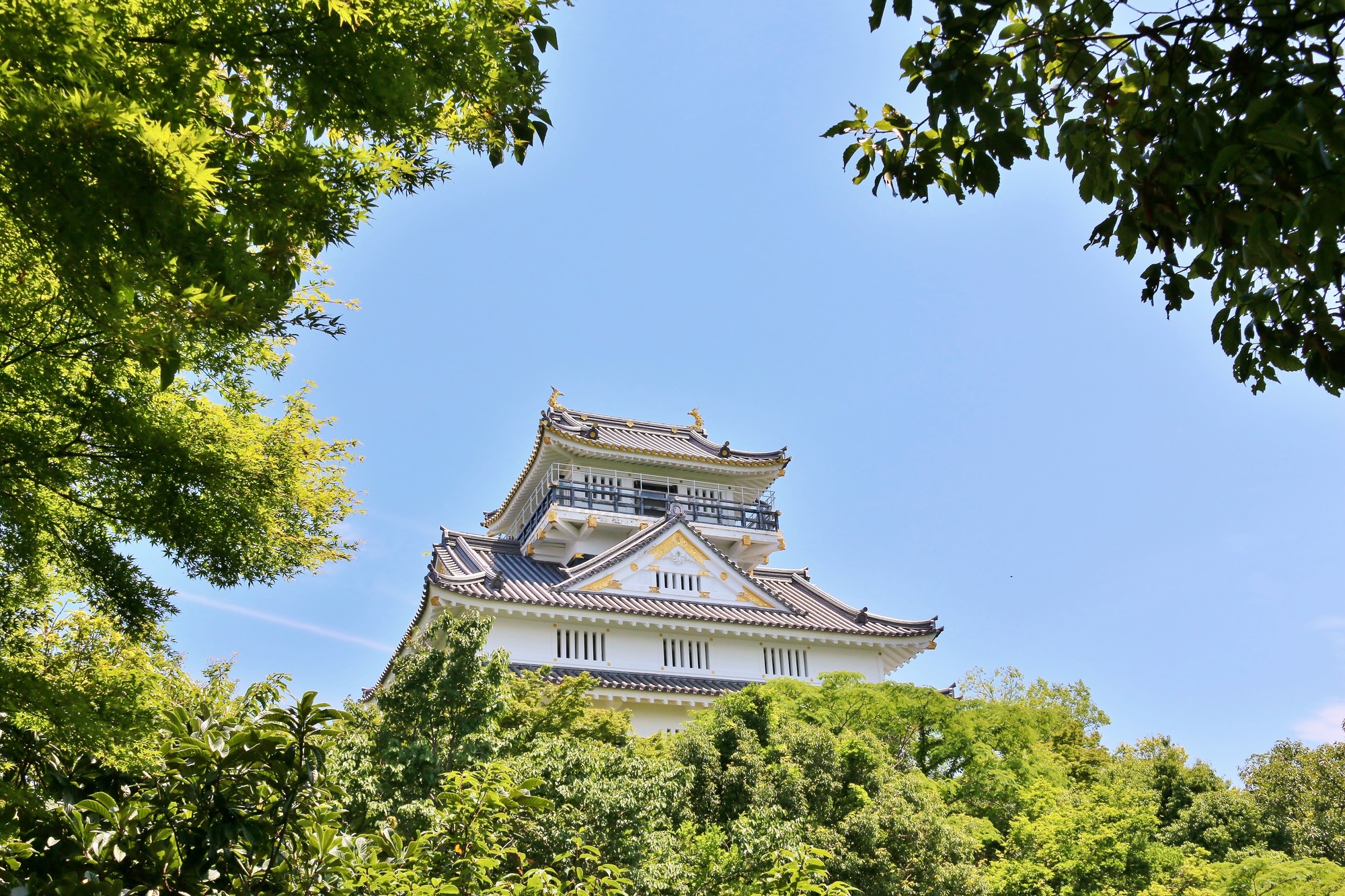 岐阜県の婚活事情。ひとりで始めるのにおすすめの婚活サービスは？
                    