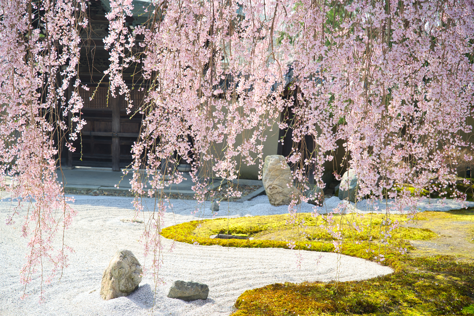 京都での婚活におすすめは？デートスポットや結婚相談所での結婚ストーリーを紹介