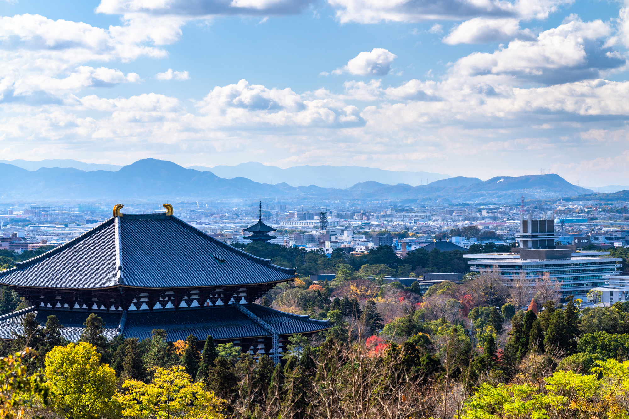 奈良県の婚活事情を解説。ひとりで始めるなら結婚相談所と婚活パーティーどちらがおすすめ？