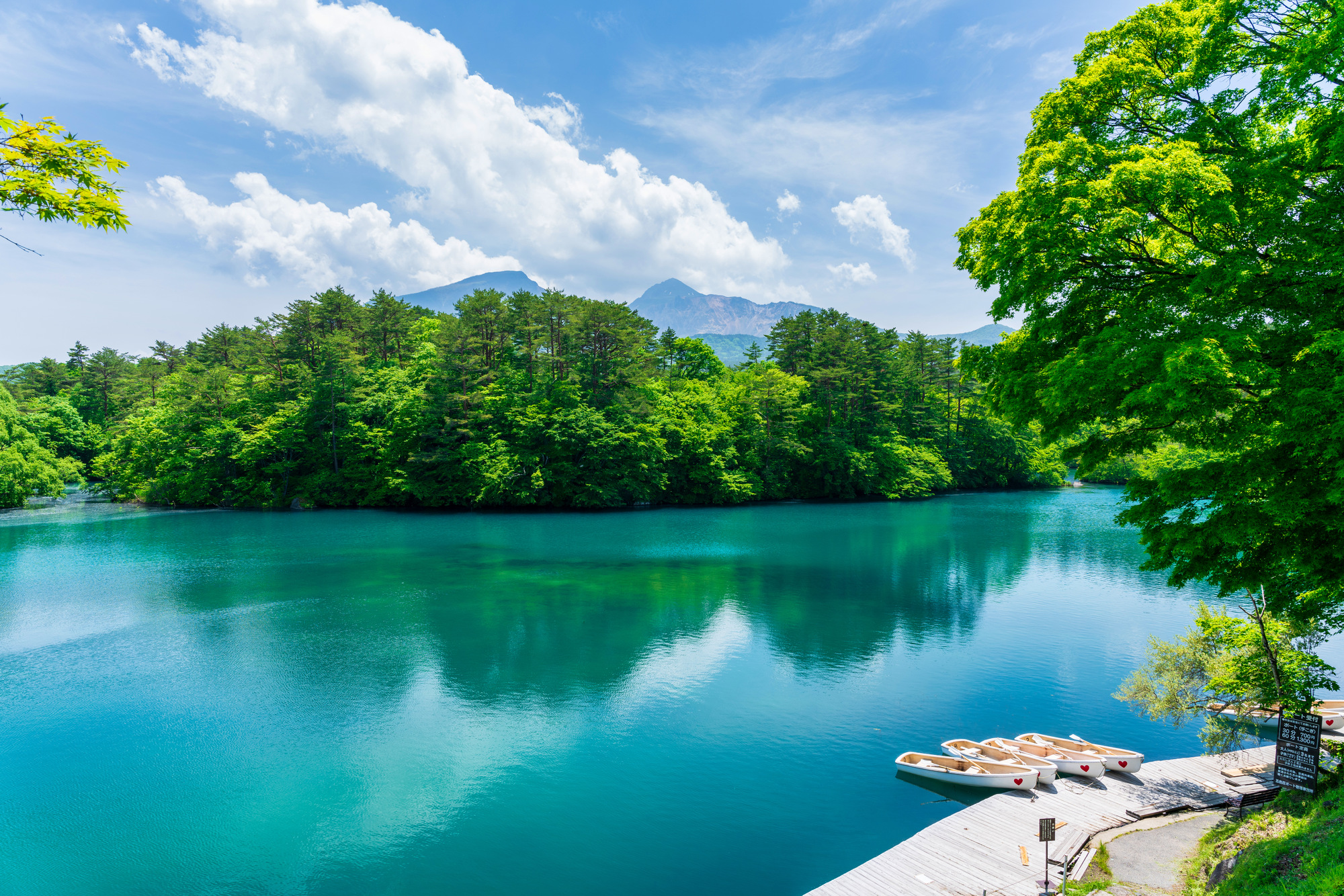 福島県の婚活事情。ひとりで始めるのにおすすめの婚活サービスは？
                    