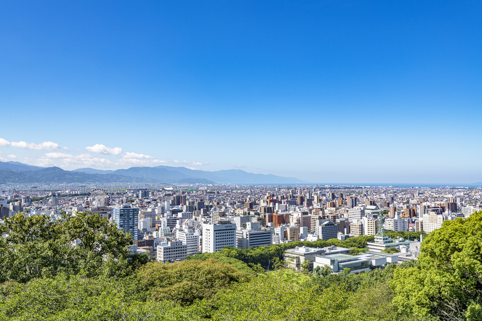 愛媛県の婚活事情。ひとりで始めるのにおすすめの婚活サービスは？
                    