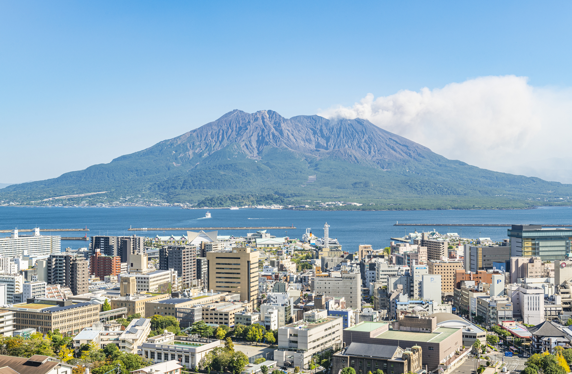 鹿児島県の婚活事情。ひとりで始めるのにおすすめの婚活サービスは？
                    