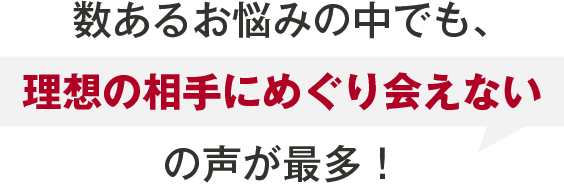 数あるお悩みの中でも、理想の相手にめぐり会えないの声が最多！