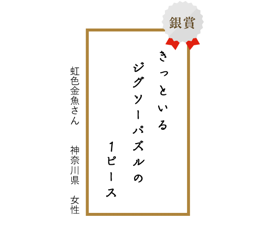 2010年銀賞