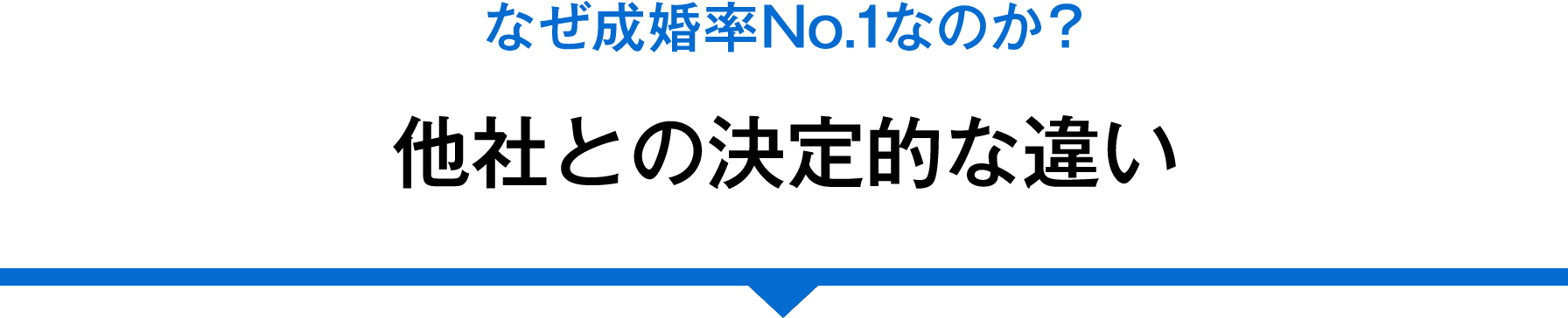 結婚相談所比較