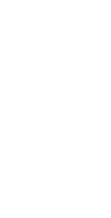 Flow