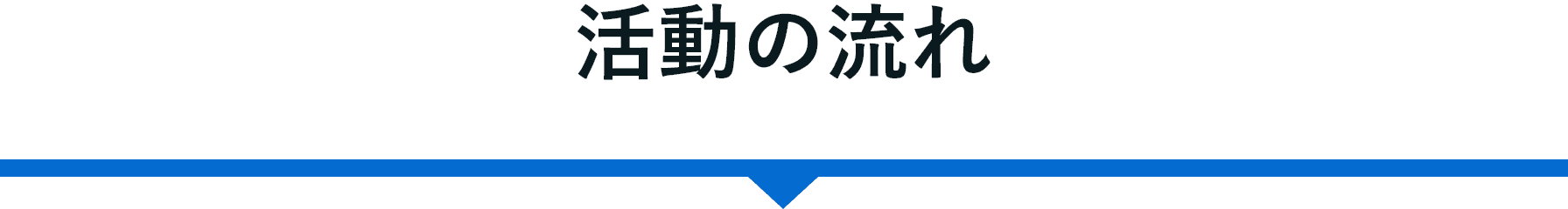 活動の流れ