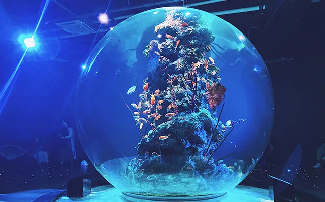 AQUARIUM×ART átoa（アトア）
