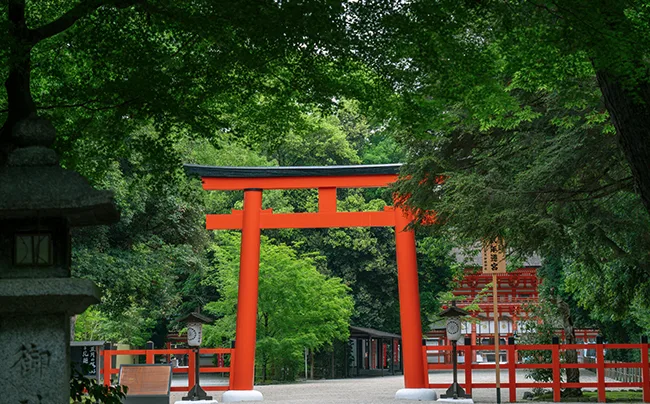 下鴨神社（糺の森）