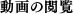 動画の閲覧