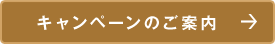 キャンペーンのご案内