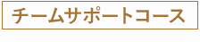 チームサポートコース